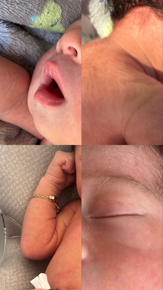 Andreasinning16's tweet photo. Mi razón de ser, mi mundo y vida entera, el amor más grande de mi alma🐣🩵✨ https://t.co/TfhwbpUBCe