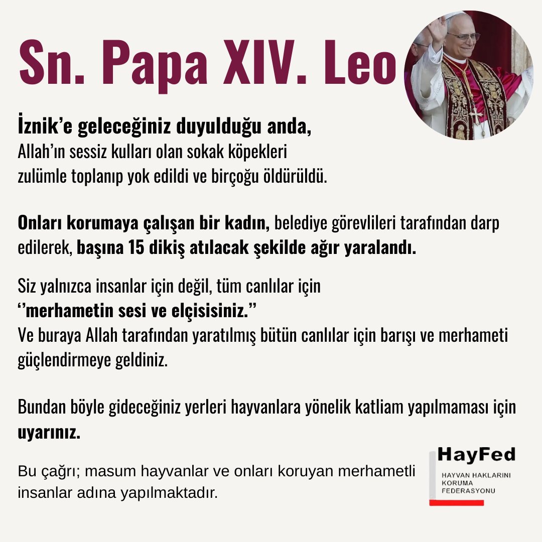 Sn. Papa XIV. Leo, 
İznik’e geleceğiniz duyulduğu anda, 
Allah’ın sessiz kulları olan sokak köpekleri zulümle toplanıp yok edildi ve birçoğu öldürüldü. 
Onları korumaya çalışan bir kadın, belediye görevlileri tarafından darp edilerek, başına 15 dikiş atılacak şekilde ağır