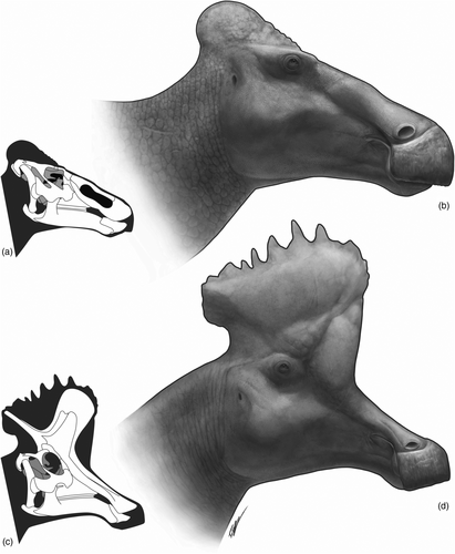 awesome… the cock.