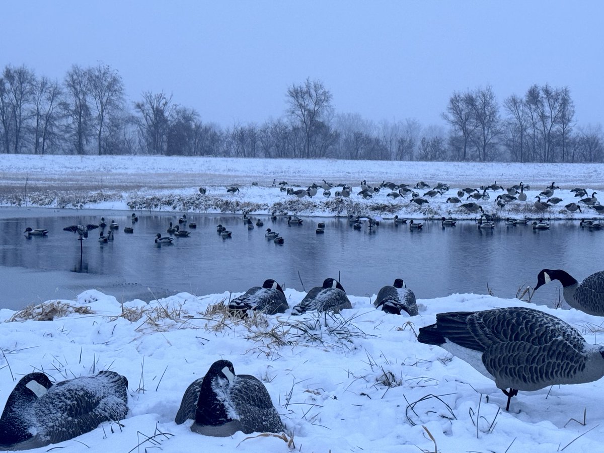 Loup River Beef tweet media