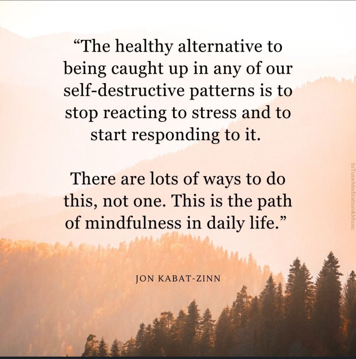 MBudha's tweet image. #responding #destructivepatterns