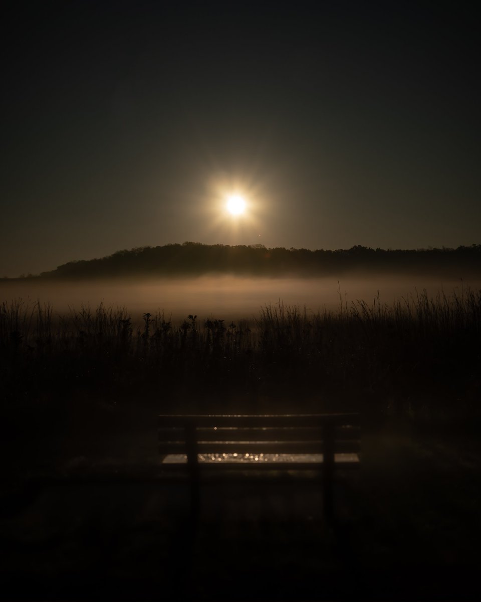 somewhere
  between
 living and dreaming ..