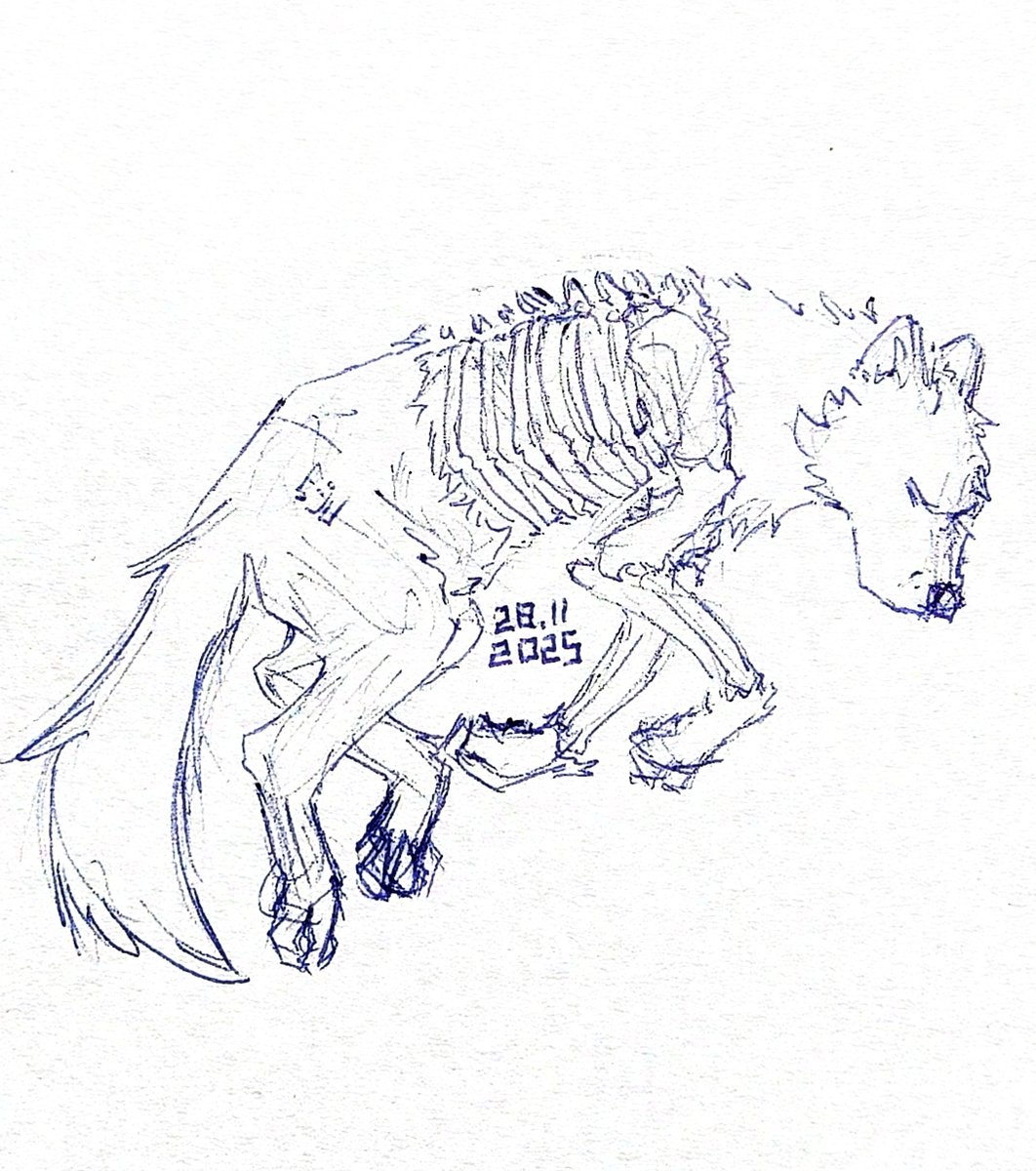 The ribs are sprouting moss.