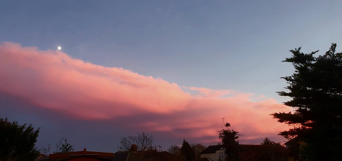 Martin Peston tweet media