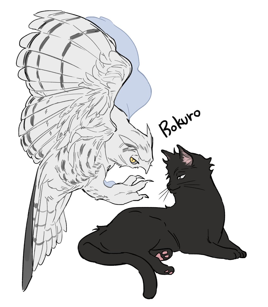 <a href="/b_k__4_1/">🍑🍅</a> 알작딱깐센으로 보쿠로 대령하기