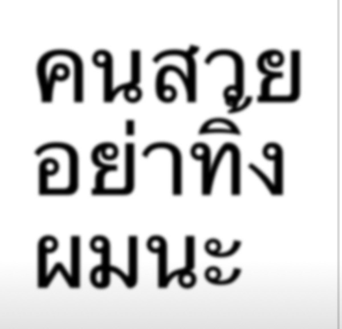 义 tweet media