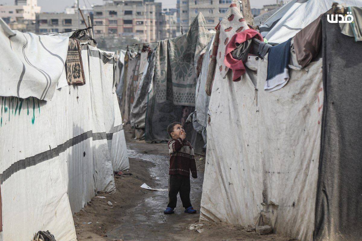 DmodosCutter's tweet image. Palestinian children try to obtain drinkable water in the Nuseirat refugee camp in central Gaza, amid difficult living conditions caused by the devastation of the ongoing Israeli war ok Gaza.