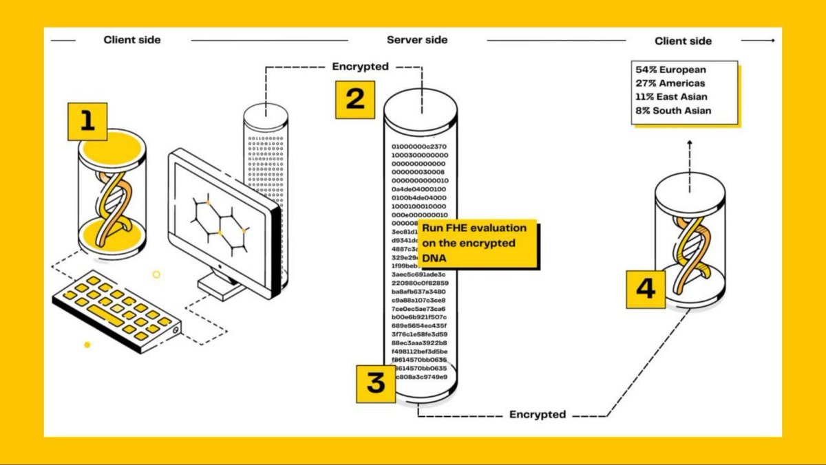mralpha_web3's tweet image. . @zama Confidential DNA Processing

1️⃣ Data encrypted on client side
2️⃣ Fully homomorphically encrypted FHE on server
3️⃣ Computation runs without ever revealing raw data
4️⃣ Encrypted results back to client

Privacy first computation. Real data, zero exposure.
#ZamaCreatorProgram
