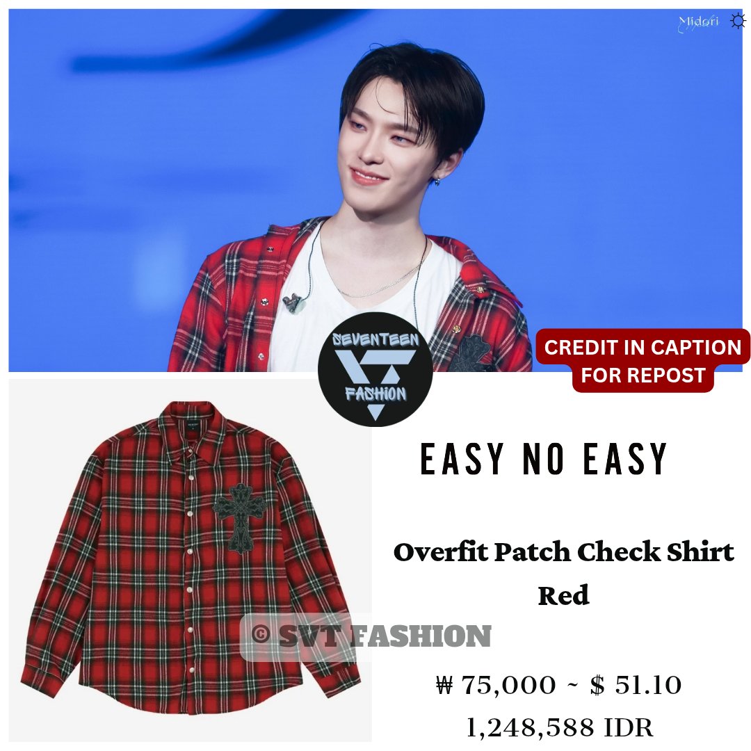 Dino wore Easy No Easy Shirt at Seventeen 'NEW_' Concert in Nagoya