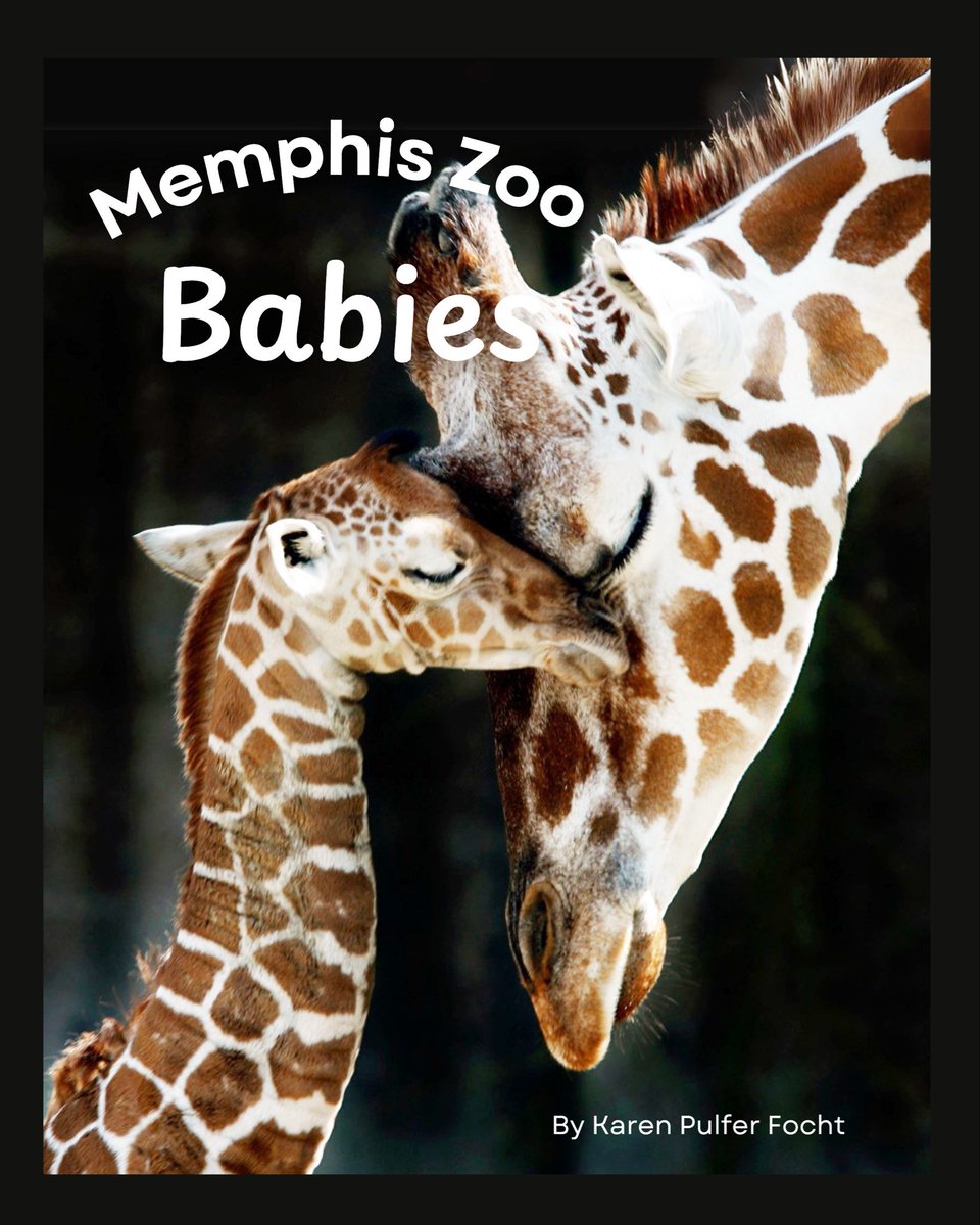 The perfect gift for an animal loving child. My Memphis Zoo Babies children’s book. <a href="/MemphisZoo/">Memphis Zoo</a> <a href="/novelmemphis/">novel.</a> or online @ karenpulferfocht.com #shoplocal #SmallBusinessSaturday #memphisgifts
