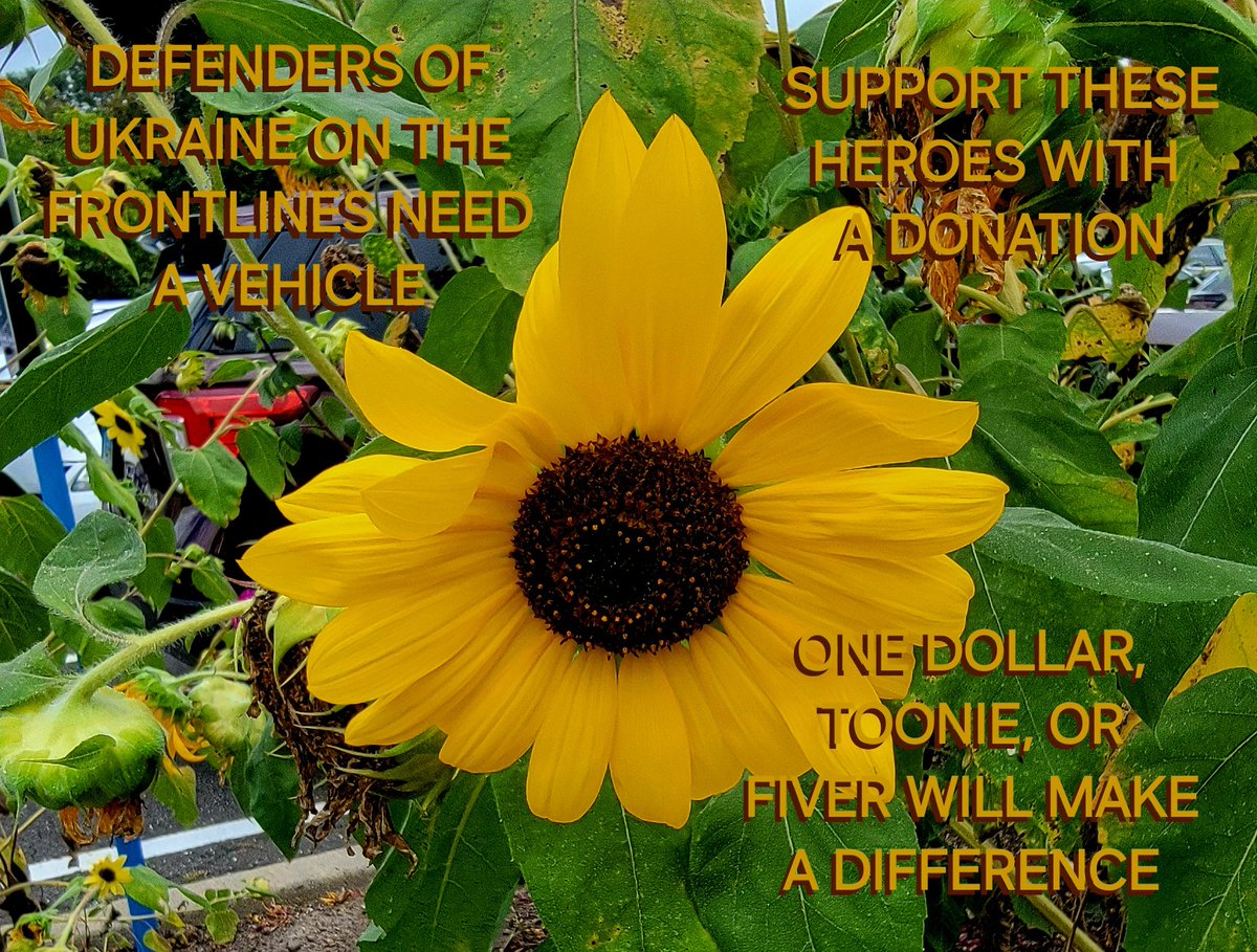 moxiepassion's tweet image. WEEKEND LOVIN&apos; 💙💛 VEHICLE

🔸️WHO: &apos;Passport&apos; &amp;amp; his unit
🔸️WHAT: Vehicle
🔸️WHERE: Frontlines
🔸️WHY: Mobility is life &amp;amp; safety. Tasks, recon, combat/rescue missions, &amp;amp; any retreats are more difficult &amp;amp; dangerous without vehicles.