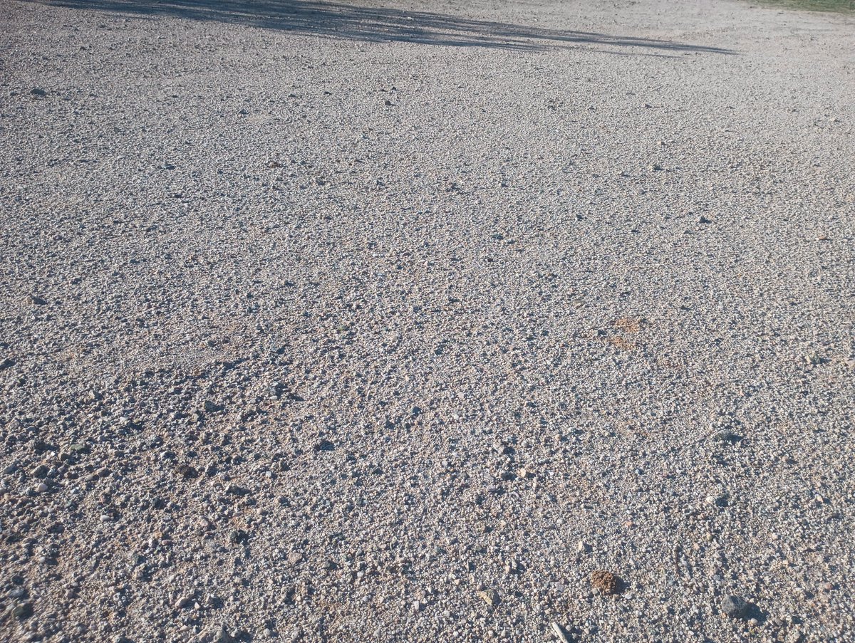 operatorihc's tweet image. Dang, look at all this sunshine I gotta shovel.