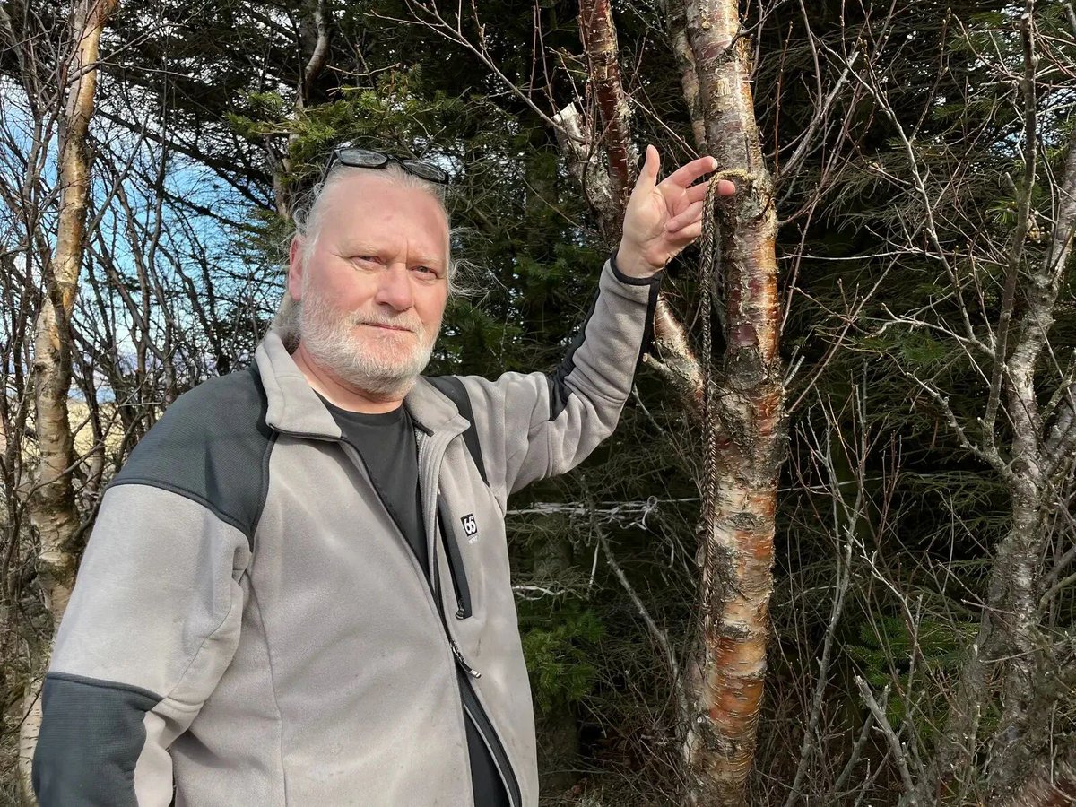 WikiBarrio's tweet photo. Enciclopedia de la vida (5)🦟
El único lugar sin mosquitos: la Antártida.🧊

Recientemente, los científicos confirmaron por primera vez la presencia de mosquitos en la naturaleza en Islandia.

#Mosquitos #CambioClimático #Ciencia #Naturaleza https://t.co/eDvaMr6hny