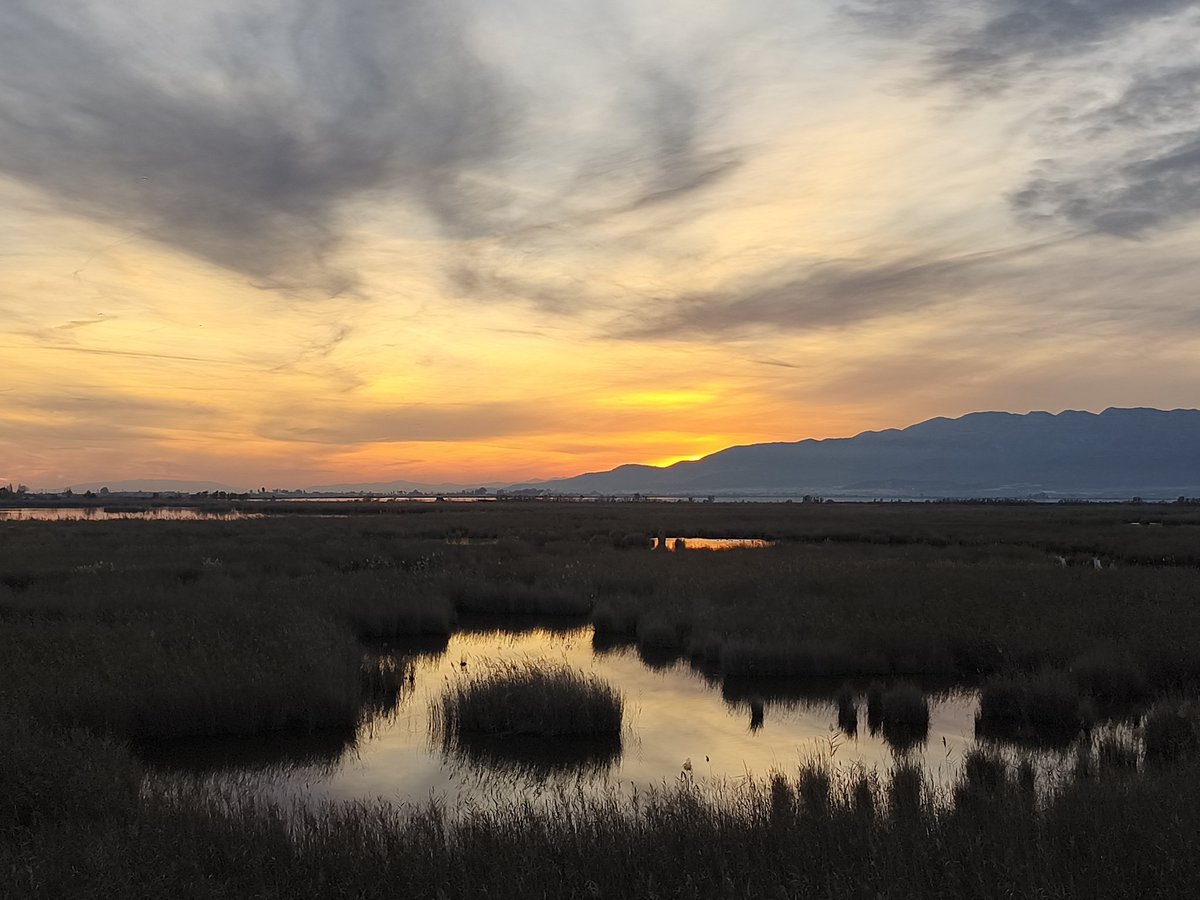 Final del dia al Delta de l'Ebre 
#deltaebre