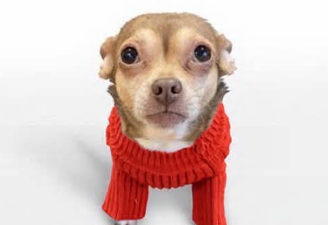 chicathechih's tweet image. Every heart carries a storm, every soul has battles. We’re all  growing, learning to navigate life’s path. I’m grateful for my family, the the stars that brighten each night, and the sounds of nature that remind me I’m still breathing.
What are you grateful for?  #saturdaymorning