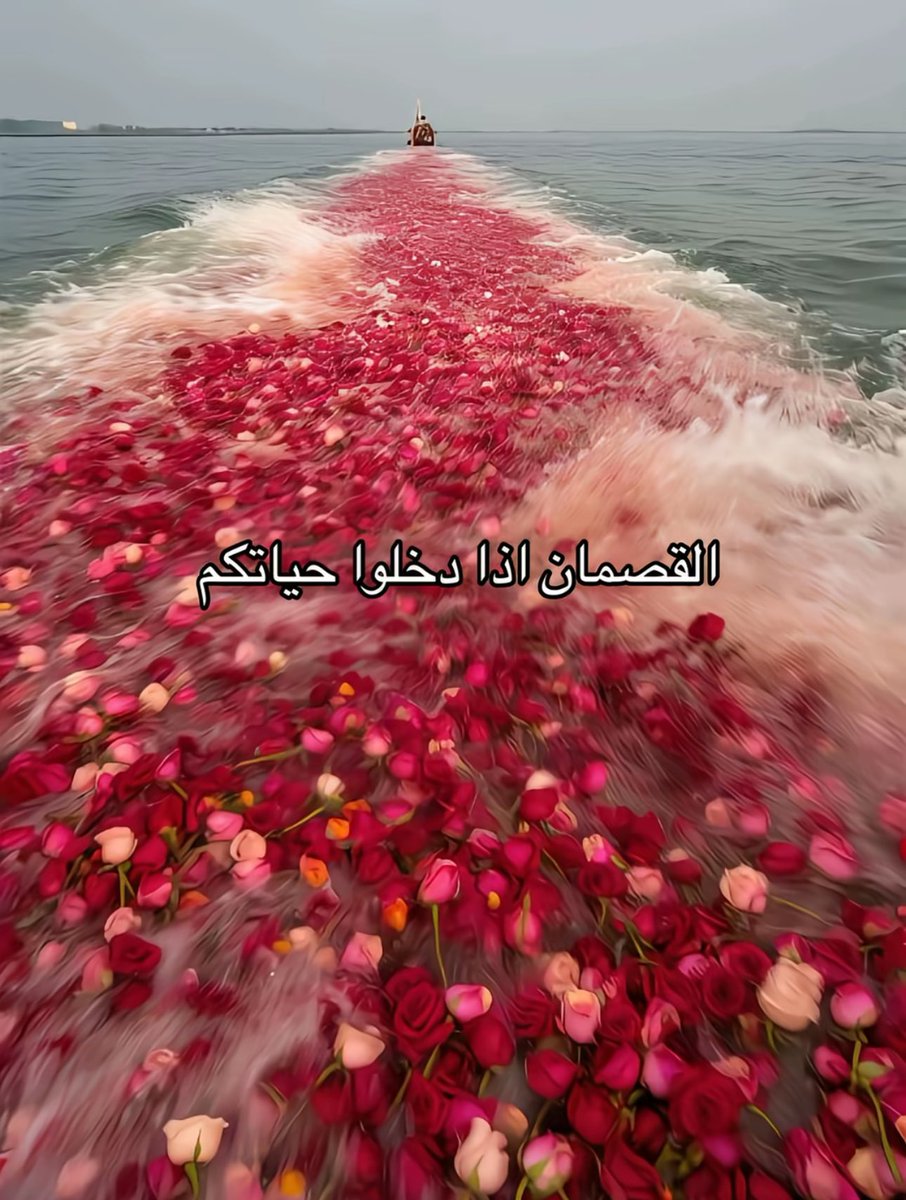 AlQassim Pinterest (@qassimip) on Twitter photo 