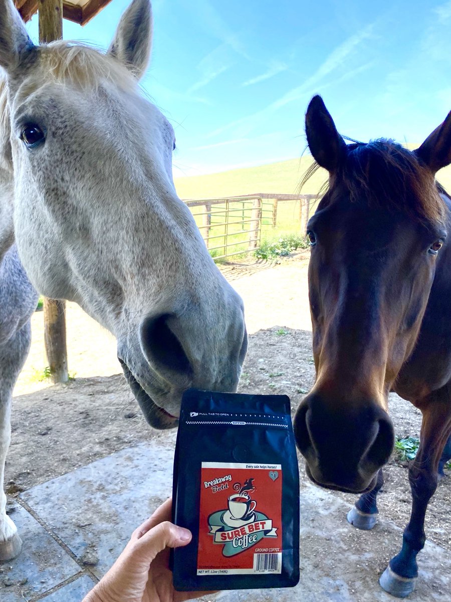 GloriousAllianc's tweet image. Kick back with the Kravitzes and a cup of ⁦@surebetcoffee⁩! The coffee that gives back to horses! Check out their groovy website here! surebetcoffee.com