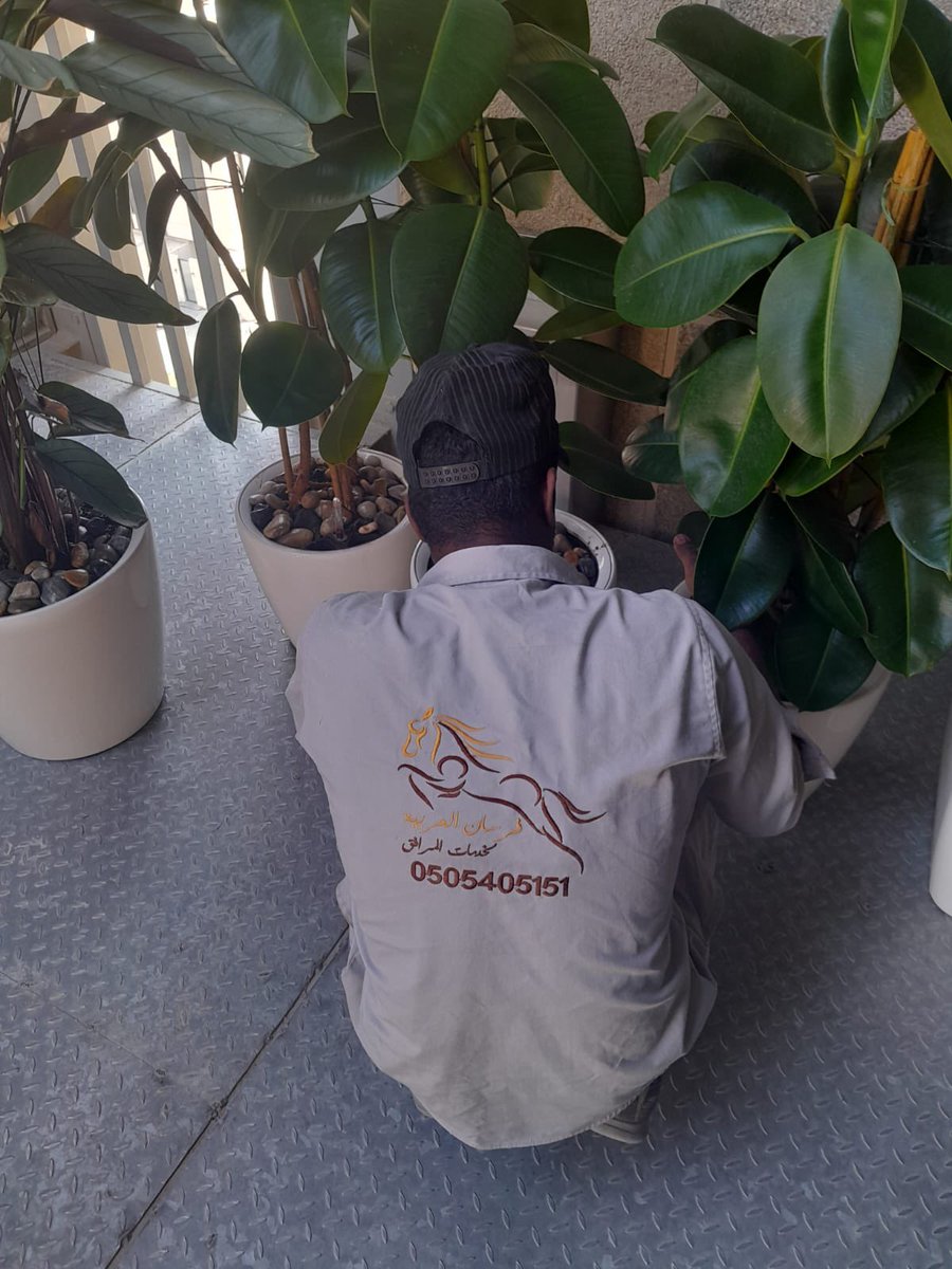 من أهم أولوياتنا في إدارة المرافق العناية بالنباتات المكتبية كونها تشكل منظر جمالي للمكاتب والمداخل وتحسن من جودة بيئة العمل

#إدارة_المرافق