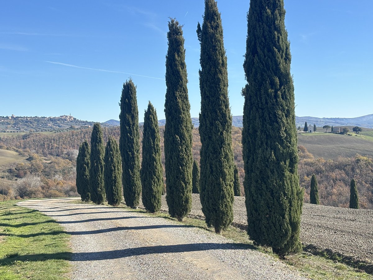 🇮🇹フィレンツェ発現地ツアーeasyfirenze (@easyfirenze) / Posts / X