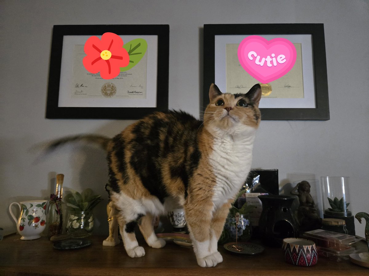 She worked very hard for her degrees.