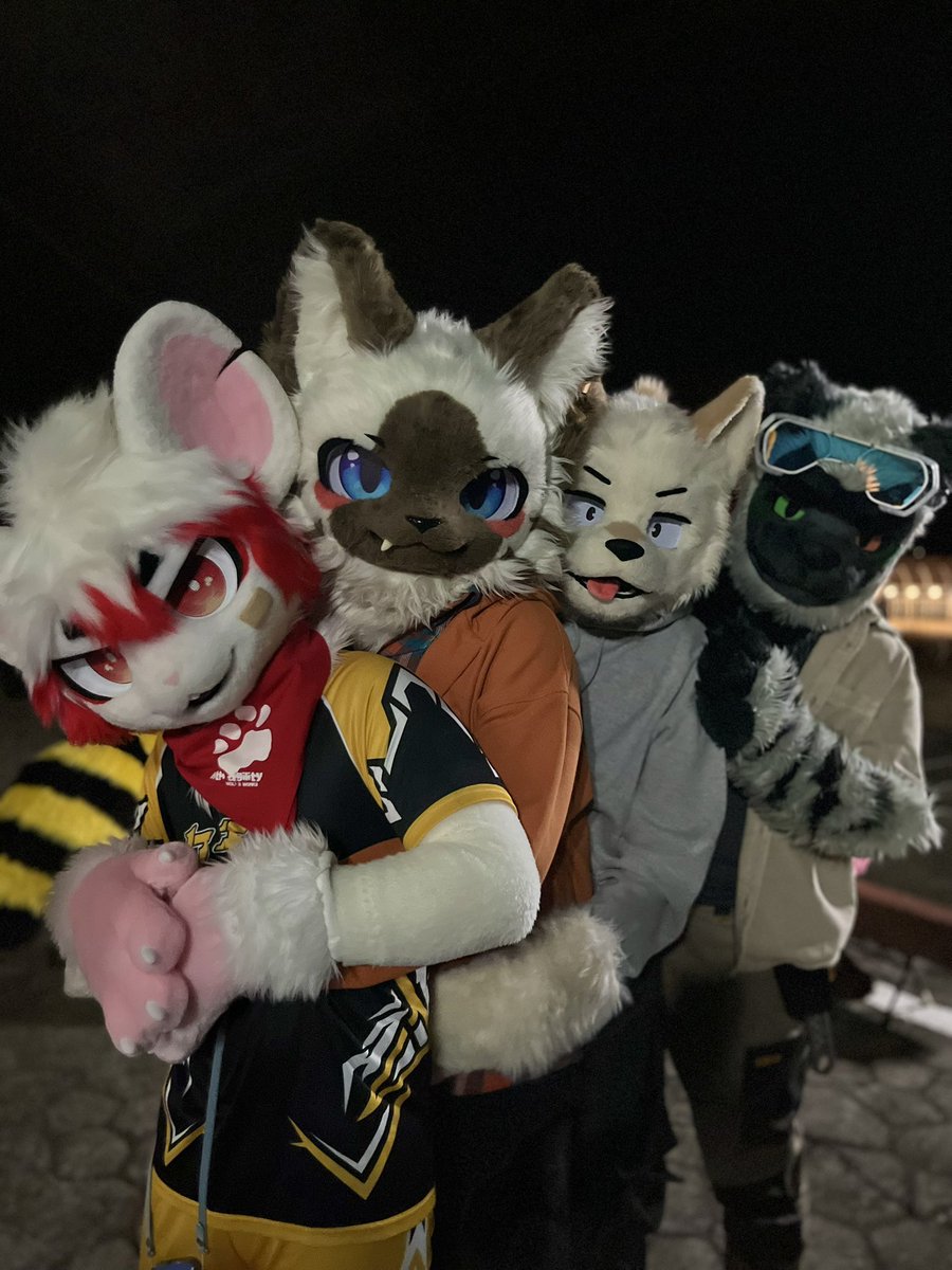 musclecookies's tweet image. 미드나이트퍼리트레인