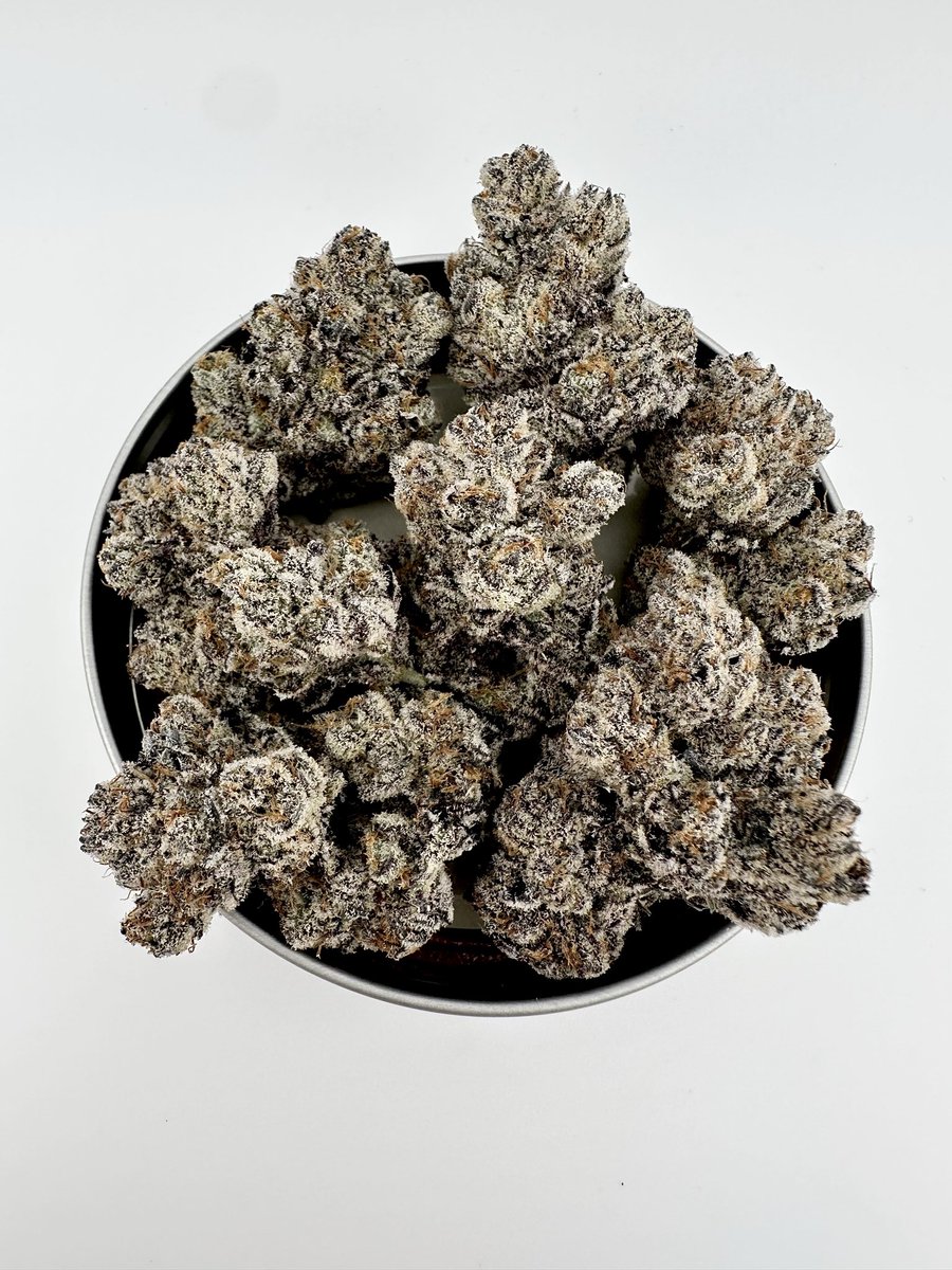 ⛽️🍩⛽️ OUT NOW on exoticgenetix.com!!! Polar Dusk (Sunset Runtz x Bakers Dozen)!!! Let’s keep the GIVEAWAYS going all throughout Black Friday weekend baby!!! 

🚨Smash the Like Button 

🚨Follow Exoticgenetix on X

🚨Retweet this post on your feed

🚨Tag 5 friends in the