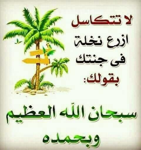 Sondos K (@sondosk241081) on Twitter photo 