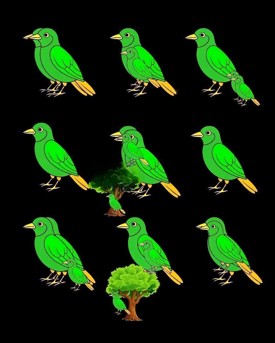 منال العتيبي tweet media