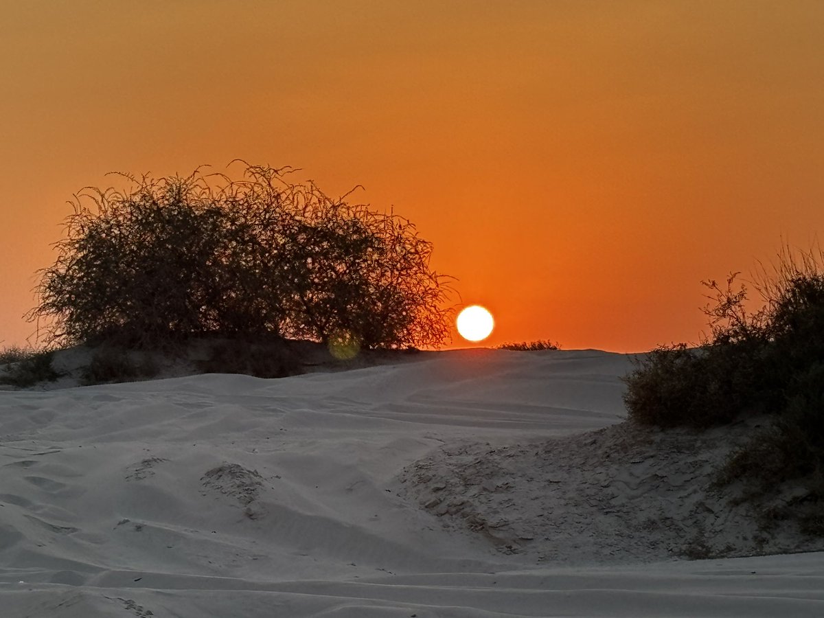 نـمـشـي الـنـهـار ولـيـلـنـا مانباتي كــم ذود مـصـلاحٍ امـنـيـسٍ خذنه

مـن ظـن فـيـنا الطيب شافه ثباتي والـلي هقى فينا الردى ضاع ظنه
