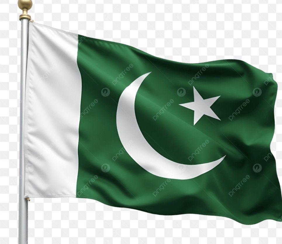 aandolun's tweet image. Do you know the meaning of the single star on pakistani flag. 

Its pakistan&apos;s self assessment of its performance.