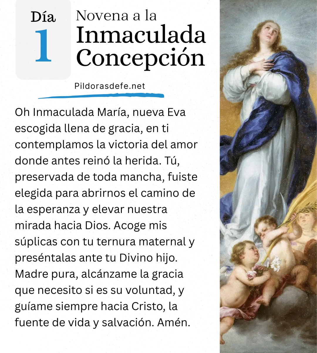 Pildorasdefe's tweet image. ✅ Día 1: Novena a la Inmaculada Concepción: Dos figuras de Eva en la historia de la humanidad.

María Inmaculada, ruega por nosotros.