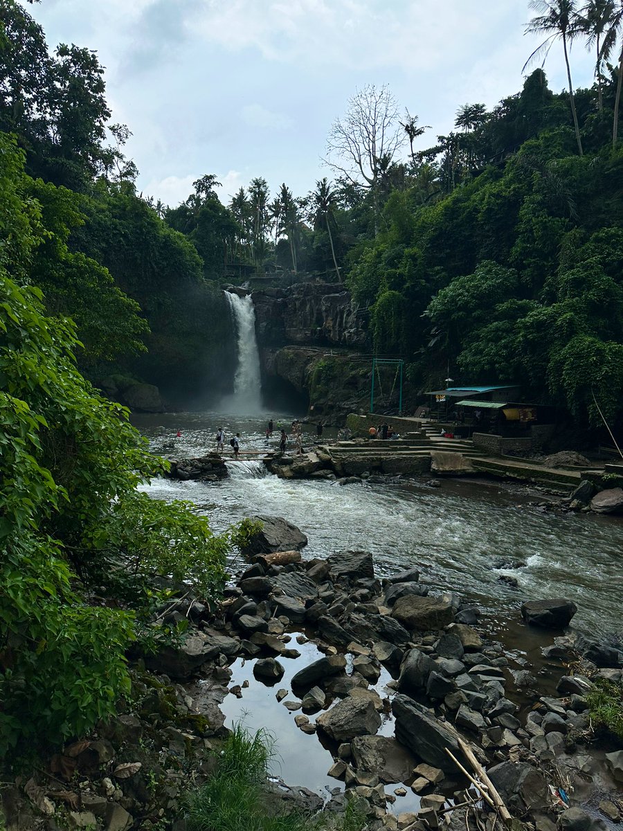 د.مريم علي القرني☤ tweet media