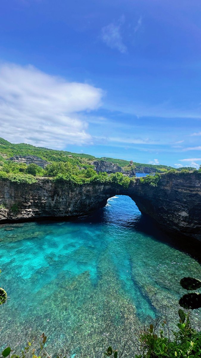 د.مريم علي القرني☤ tweet media