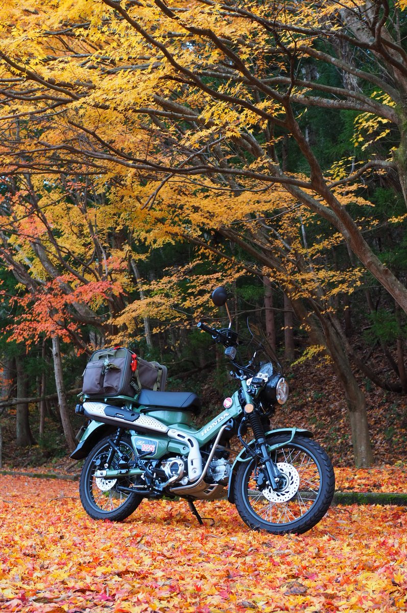 ヘンティカン (@32491147mini) / Posts / X