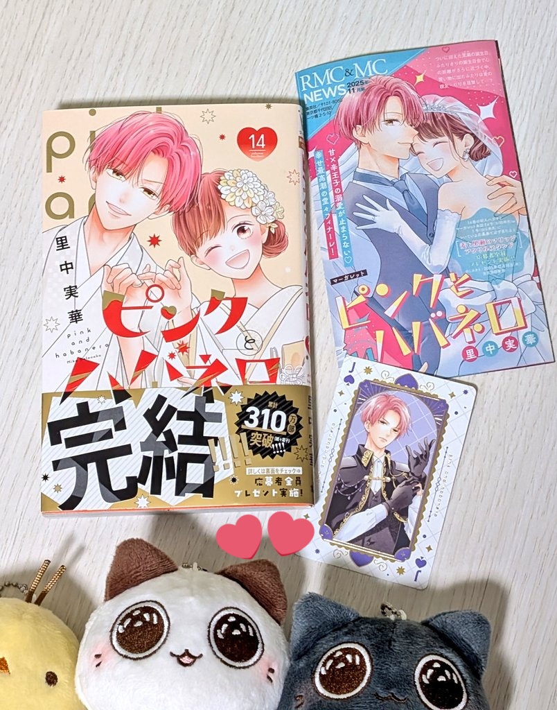 ピンクとハバネロ 1～14巻 完結 ピンクとハバネロ｜14巻特典まとめ｜