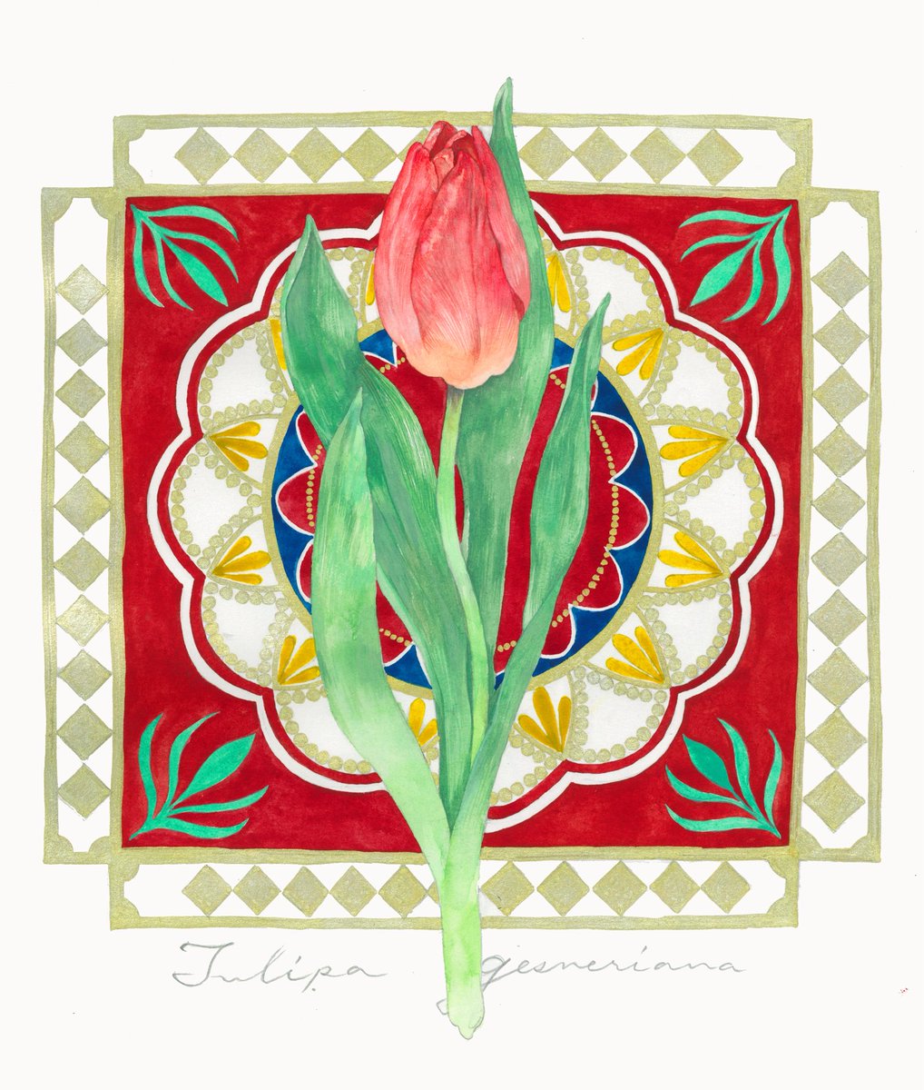 チューリップ】🌷