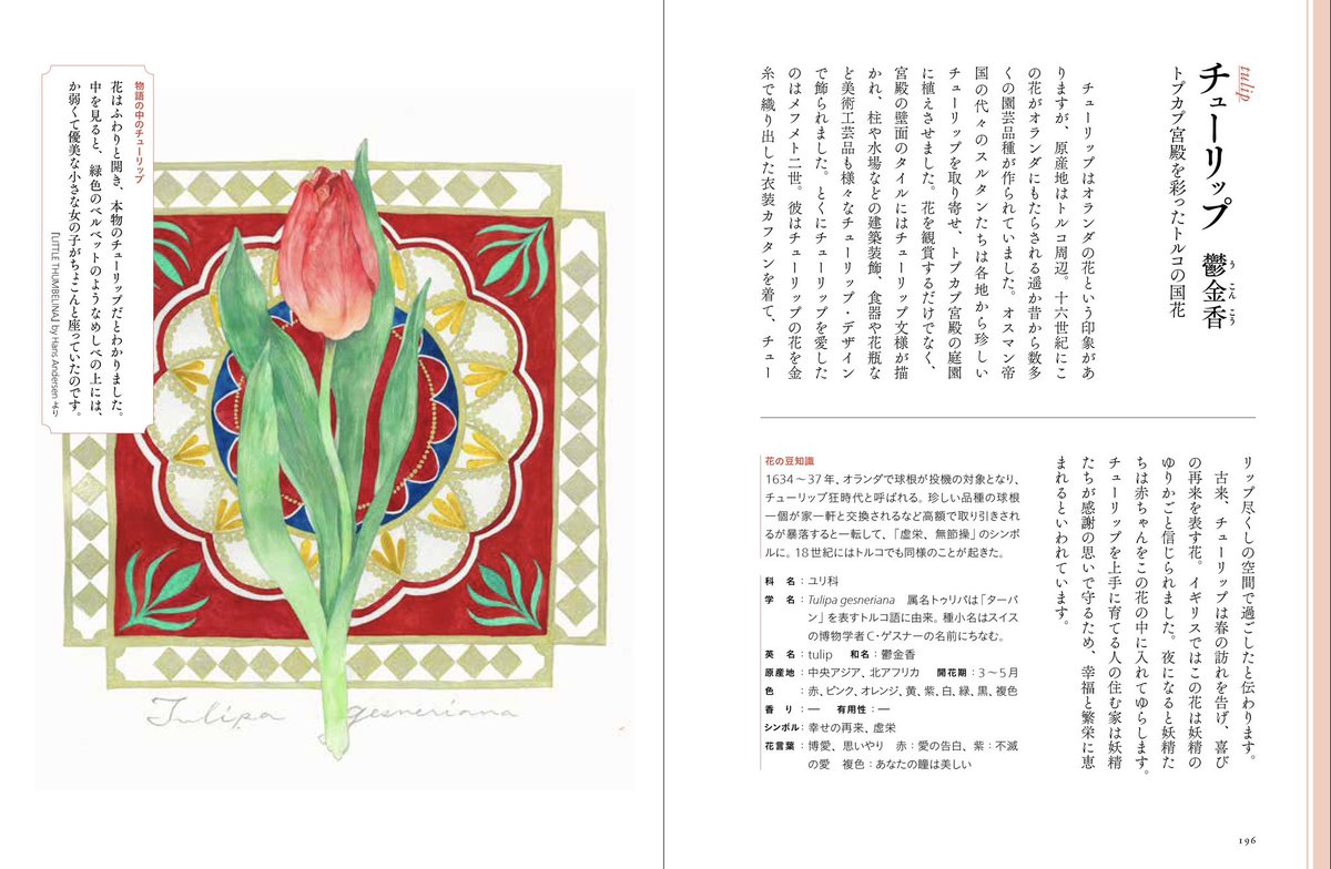 チューリップ チューリップ