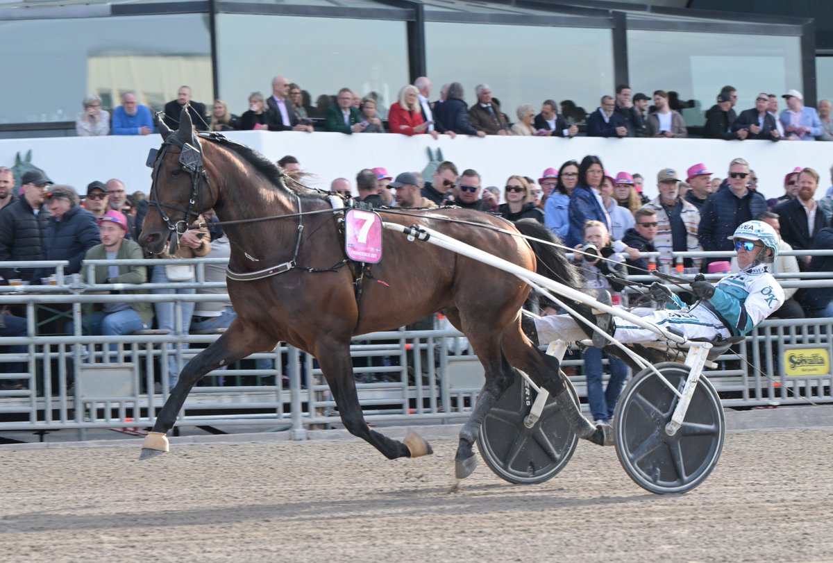 V85 Solvalla med Jackpot! - Missa inte Liverapporteringen!

Det är fullt drag i Travronden Spels populära Liverapportering inför V85.

Vi bjuder alltid på den senaste och bästa informationen - hela vägen fram till spelstopp!
travrondenspel.se/v85/V85-solval…