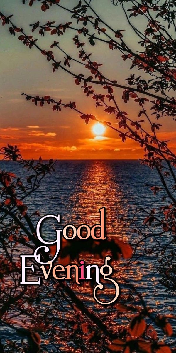 Shelbytom76's tweet image. Good evening! 
Hope your night is filled with peace and comfort.