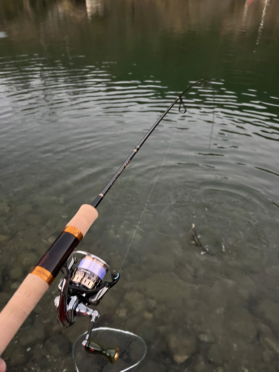 よったん (@yottanntann) / Posts / X