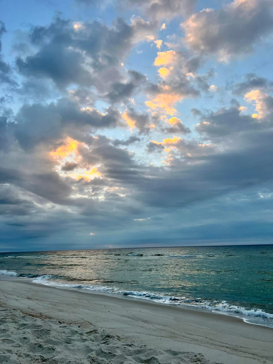 City of Orange Beach tweet media