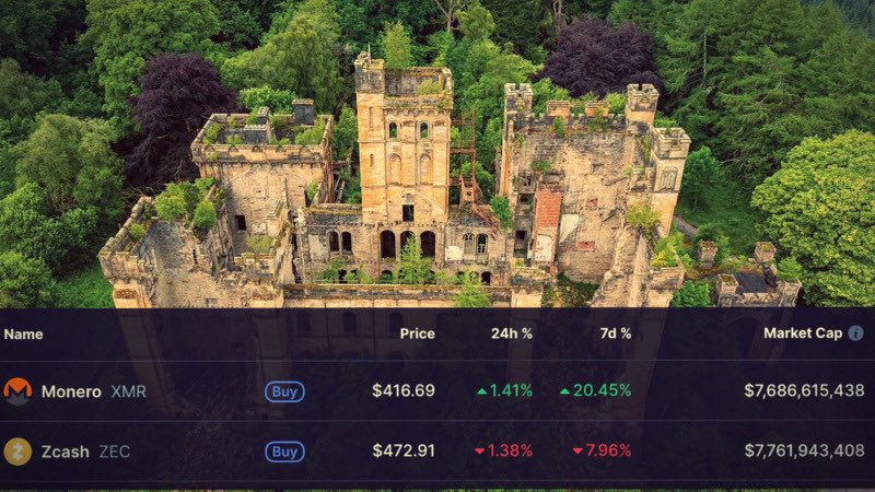 0xDjango's tweet image. Broken ruins reclaimed by nature as I was zidelined. The nature is healing ❤️‍🩹