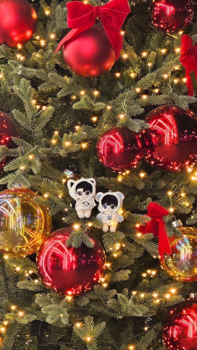 ahnim1919's tweet photo. 벌써 크리스마스 분위기야🎄

#봉봉솜소 https://t.co/6oGXtZUycQ