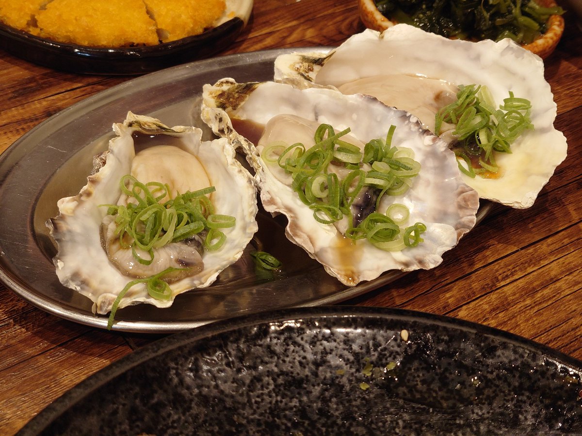 年1ペースで受けておきたい、資格の維持に必要な理論政策更新研修を広島で受けました。
牡蠣が食べたい🦪だけで選んだ広島でしたが、研修自体、ワークが多くて楽しかったです。
牡蠣も美味しかった……