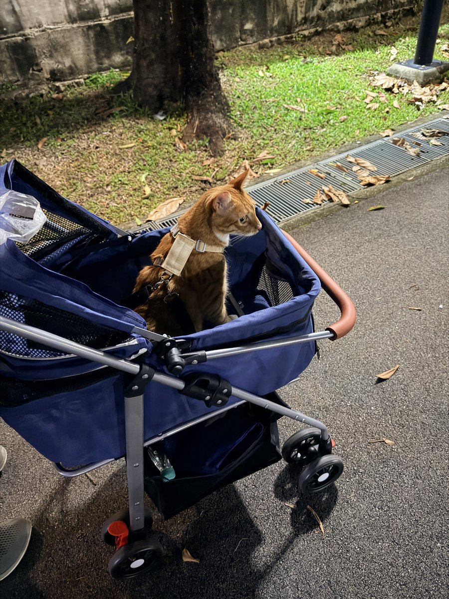 我是富达的站姐🤪