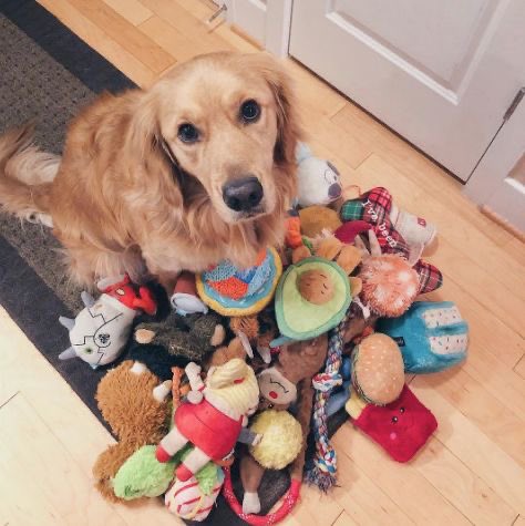 kirbyforkoo's tweet image. jungkook&apos;s what&apos;s in my bag