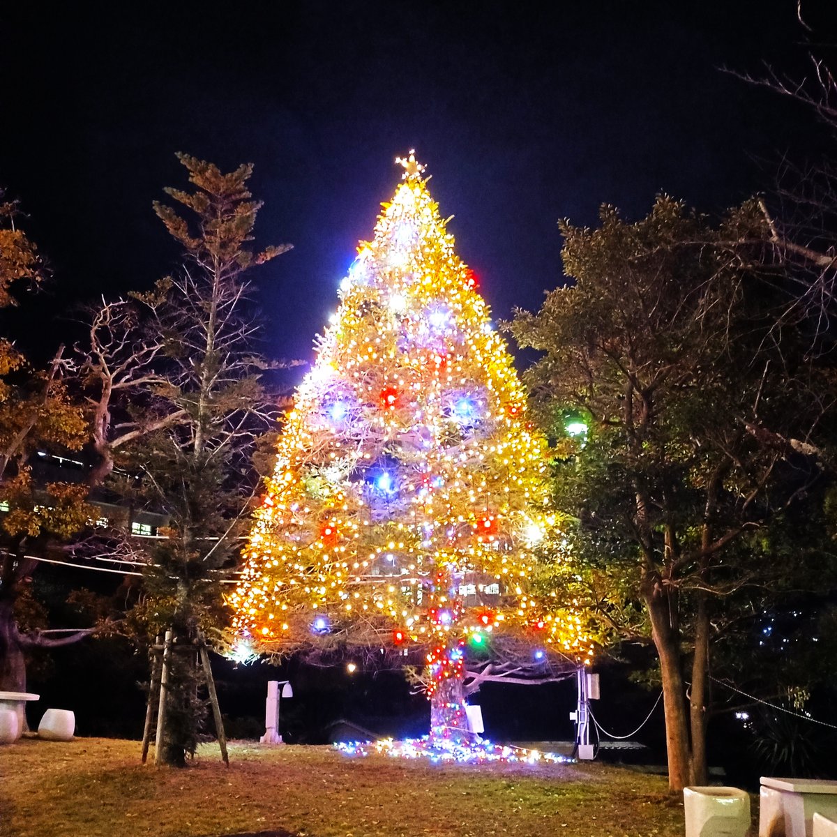 kwassuidesign's tweet photo. 活水女子大学では毎年この時期になるとクリスマスツリーが点灯します🎄🎅

#CG #Web #情報 #建築 #一級建築士 #二級建築士 #CAD #グラフィックデザイン #デザイン #プロダクト #ファッション #インテリア #染色 #陶芸 #アート #家庭科 #教員免許 #活水女子大学 #長崎 #クリスマス #クリスマスツリー https://t.co/sXhCWAOkc7