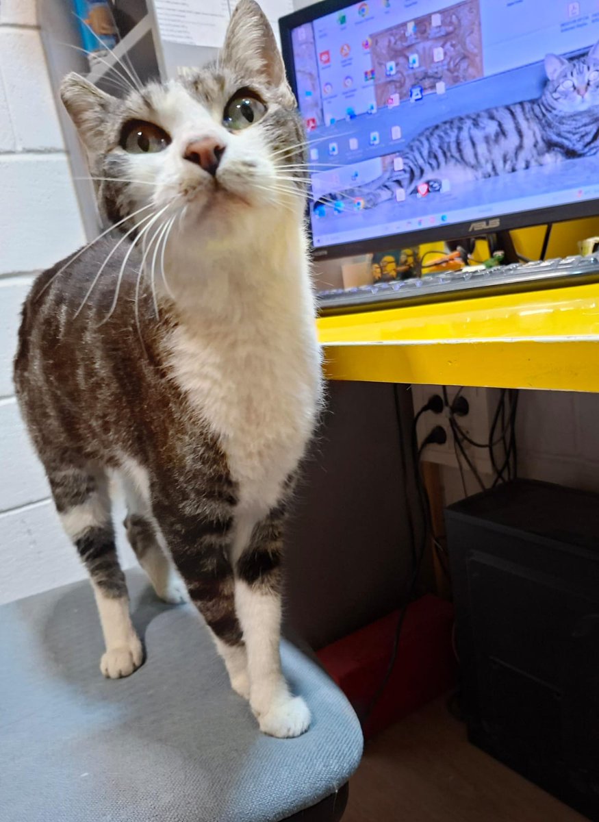 <a href="/Erta2017/">Erta</a> Gràcies 💞