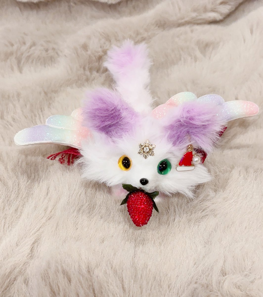 新しいお迎え先が決まりました❣️✨️ ありがとうございます