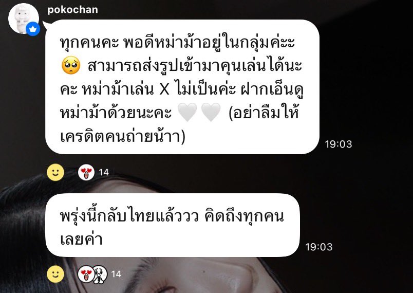 Pundaoofficial's tweet image. 🏠 [OpenChat] : 🥚 PUNDAO OFFICIAL TH

เอ็นดูจัง หม่าม้าน่ารักมากกก 🥰💓
~ พี่ๆคนไหนมีรูป , คลิปน่ารักๆสามารถมาปาใน OPC ได้นะคะ หม่าม้าอยากดูพี่โปะโกะค่ะ 🥰🥚💕

(ใส่เครดิตเจ้าของรูป,คลิปด้วยนะคะ ขอบคุณค่ะ)

line.me/ti/g2/v-MPRocE…

#Pundao | #พันดาว
#TwinkleofPundao